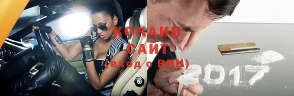 шишки Лиски