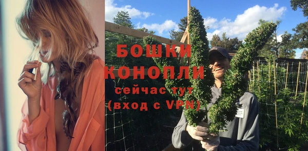 шишки Лиски