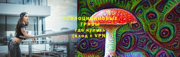 шишки Лиски